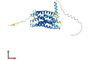 AlphaFold protein structure predicition of Human Recombinant CX3CR1 Protein, UniprotID P49238 (CX3CR1 Protein (AA 1-355) (His tag))