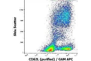 Flow cytometry surface staining pattern of human peripheral blood stained using anti-human CD62L (DREG56) purified antibody (concentration in sample 1 μg/mL) GAM APC. (L-Selectin antibody)
