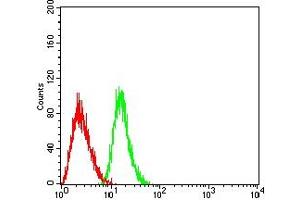 Flow cytometric analysis of HL-60 cells using CD301 mouse mAb (green) and negative control (red).