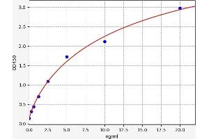 Typical standard curve (NKX2-1 ELISA Kit)