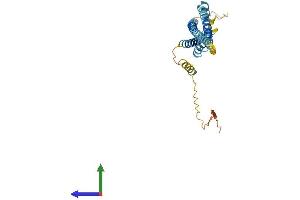 AlphaFold protein structure predicition of Mouse Recombinant Tmem176b Protein, UniprotID Q9R1Q6 (TMEM176B Protein (AA 1-263) (His tag))