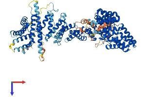 AlphaFold protein structure predicition of Human Recombinant TTC7B Protein, UniprotID Q86TV6 (TTC7B Protein (AA 1-843) (His tag))