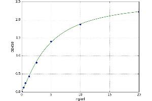 Tumor Necrosis Factor Receptor Superfamily, Member 13B (TNFRSF13B) ELISA Kit