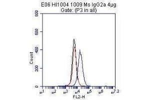 Figure 1. (Cadherin 5 antibody)