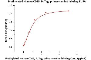 Immobilized a series of concentration of Biotinylated Human CD19, Fc Tag, primary amine labeling (ABIN2180718,ABIN2180717) on Streptavidin  precoated (0.
