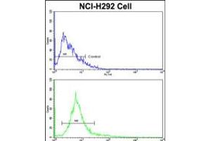 Flow cytometric analysis of NCI-H292 cells using ALKBH8 Antibody (bottom histogram) compared to a negative control cell (top histogram). (ALKBH8 antibody  (C-Term))