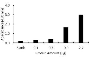 Activity Assay (AcA) image for Peroxisome Proliferator-Activated Receptor alpha (PPARA) ELISA Kit (ABIN5690760)
