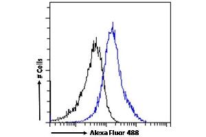 (ABIN302166) Flow cytometric analysis of paraformaldehyde fixed A431 cells (blue line), permeabilized with 0.