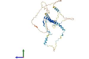 AlphaFold protein structure predicition of Human Recombinant POLR2M Protein, UniprotID P0CAP2