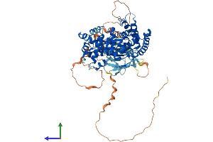 Protein Structure (PS) image for TBC1 Domain Family, Member 17 (TBC1D17) (AA 1-645) protein (His tag) (ABIN7564463)