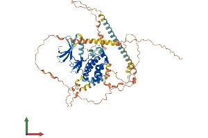 Protein Structure (PS) image for NIMA-Related Kinase 5 (NEK5) (AA 1-627) protein (His tag) (ABIN7558289)
