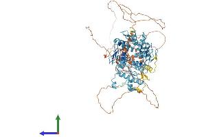 AlphaFold protein structure predicition of Human Recombinant ZNF606 Protein, UniprotID Q8WXB4