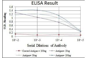 Red: Control Antigen (100 ng), Purple: Antigen (10 ng), Green: Antigen (50 ng), Blue: Antigen (100 ng), (APOB antibody)