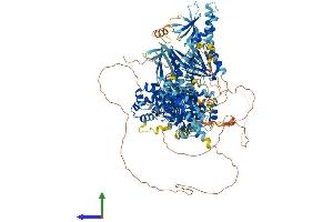 AlphaFold protein structure predicition of Mouse Recombinant Tbc1d9b Protein, UniprotID Q5SVR0 (TBC1D9B Protein (AA 1-1263) (His tag))
