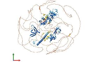 AlphaFold protein structure predicition of Human Recombinant ARID4A Protein, UniprotID P29374 (ARID4A Protein (AA 1-1257) (His tag))