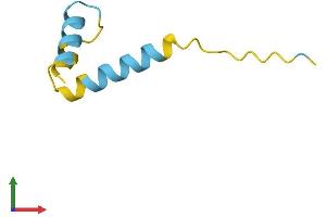 AlphaFold protein structure predicition of Human Recombinant LUZP6 Protein, UniprotID Q538Z0 (LUZP6 Protein (AA 1-58) (Fc Tag))