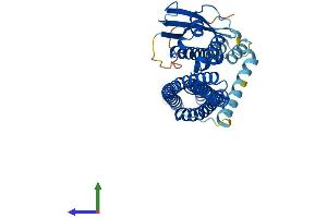 Protein Structure (PS) image for Sorting Nexin 32 (SNX32) (AA 1-403) protein (His tag) (ABIN7546142)