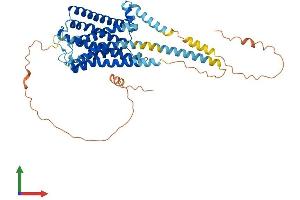 Protein Structure (PS) image for 5-Hydroxytryptamine (serotonin) Receptor 7 (Adenylate Cyclase-Coupled) (HTR7) (AA 1-479) protein (His tag) (ABIN7551839)