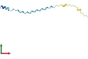 AlphaFold protein structure predicition of Mouse Recombinant Sprr2k Protein, UniprotID O70562