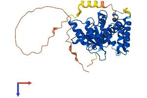 AlphaFold protein structure predicition of Mouse Recombinant Otulin Protein, UniprotID Q3UCV8 (FAM105B Protein (AA 1-352) (His tag))