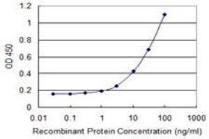 Detection limit for recombinant GST tagged DCK is 0. (DCK antibody  (AA 161-260))