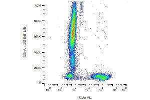 Surface staining of CD5 in human peripheral blood cells with anti-CD5 (L17F12) PE. (CD5 antibody  (PE))