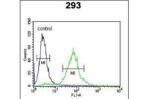 SETD8 Antibody (Center) (ABIN390472 and ABIN2840838) flow cytometric analysis of 293 cells (right histogram) compared to a negative control cell (left histogram). (SETD8 antibody  (AA 220-249))