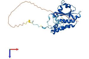 DTW Domain Containing 2 (DTWD2) (AA 1-298) protein (His tag)