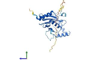 AlphaFold protein structure predicition of Human Recombinant UBE2R2 Protein, UniprotID Q712K3 (UBE2R2 Protein (AA 1-238) (His tag))