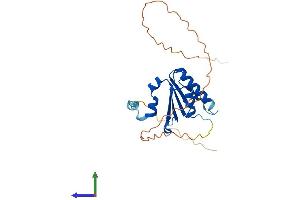 AlphaFold protein structure predicition of Human Recombinant MALSU1 Protein, UniprotID Q96EH3