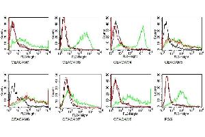 Specificity testing of MUS. (CEACAM5/6 antibody)