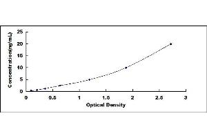 Typical standard curve (Surfactant Protein C ELISA Kit)