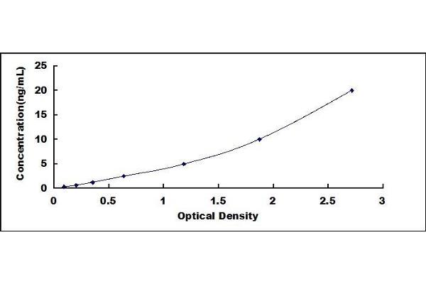 Surfactant Protein C ELISA Kit