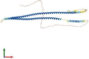 Protein Structure (PS) image for Keratin 15 (KRT15) (AA 1-456) protein (His tag) (ABIN7548576)