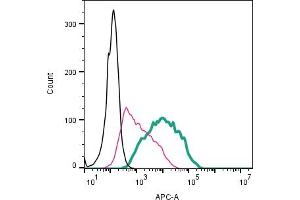 Cell surface detection of P2X1 by direct flow cytometry in live intact human  megakaryoblastic leukemia cells: + Rabbit IgG Isotype control-APC (ABIN7582043).