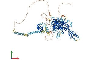 AlphaFold protein structure predicition of Human Recombinant USP44 Protein, UniprotID Q9H0E7 (USP44 Protein (AA 1-712) (His tag))