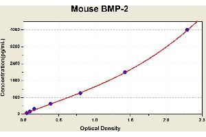 Diagramm of the ELISA kit to detect Mouse BMP-2with the optical density on the x-axis and the concentration on the y-axis.