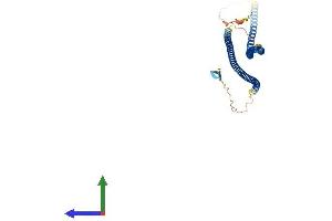 AlphaFold protein structure predicition of Human Recombinant GFAP Protein, UniprotID P14136 (GFAP Protein (AA 1-432) (His tag))