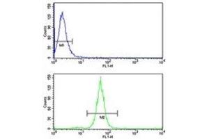 TGN46 antibody flow cytometry analysis of MDA-MB231 cells (green) compared to a negative control (blue). (TGOLN2 antibody  (AA 399-427))