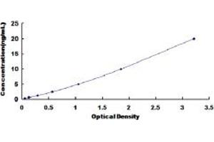 Typical standard curve (Cathepsin K ELISA Kit)