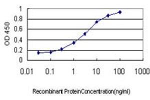 Detection limit for recombinant GST tagged EVL is approximately 0. (EVL antibody  (AA 309-418))