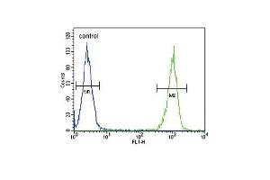 LTF Antibody (ABIN652643 and ABIN2842432) flow cytometric analysis of MDA-M cells (right histogram) compared to a negative control cell (left histogram). (Lactoferrin antibody)