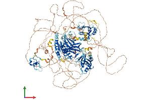 AlphaFold protein structure predicition of Mouse Recombinant Tns2 Protein, UniprotID Q8CGB6