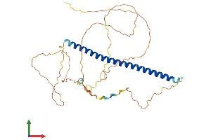 AlphaFold protein structure predicition of Human Recombinant FOSB Protein, UniprotID P53539 (FOSB Protein (AA 1-338) (His tag))