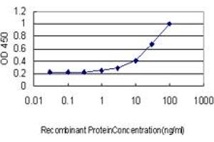 Detection limit for recombinant GST tagged CRLF2 is approximately 3ng/ml as a capture antibody. (CRLF2 antibody  (AA 23-132))