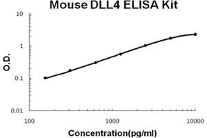 Mouse DLL4 PicoKine ELISA Kit standard curve