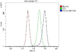 Flow Cytometry analysis of CACO-2 cells using anti-PTGS2 antibody (ABIN7600352).
