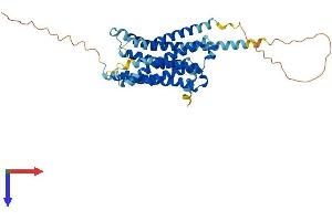 AlphaFold protein structure predicition of Mouse Recombinant Htr1d Protein, UniprotID Q61224 (5HT1D Protein (AA 1-374) (His tag))