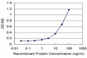 Detection limit for recombinant GST tagged MEOX2 is approximately 1ng/ml as a capture antibody. (MEOX2 antibody  (AA 1-303))