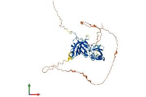 AlphaFold protein structure predicition of Mouse Recombinant Trmo Protein, UniprotID Q562D6